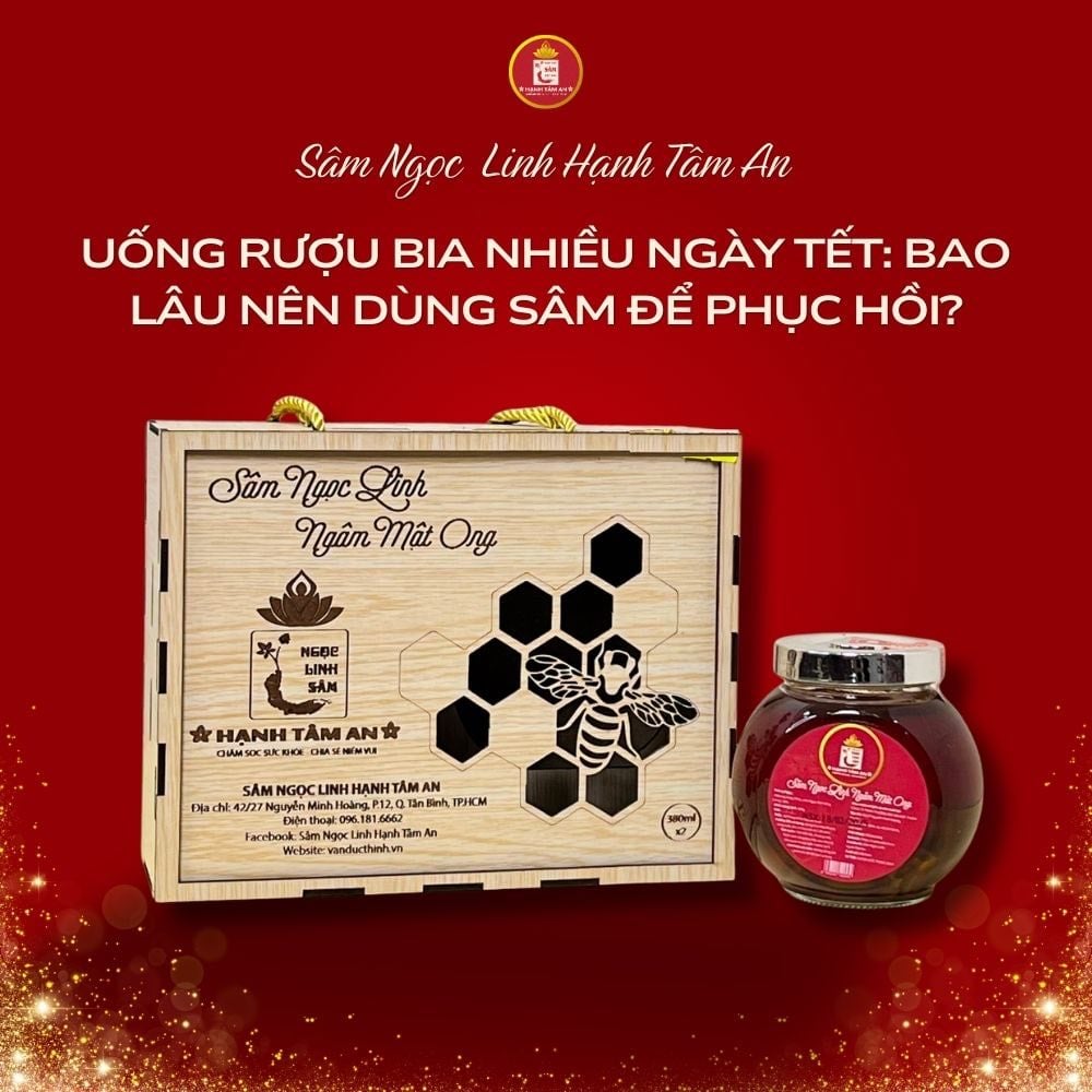 Uống rượu bia nhiều ngày Tết: Bao lâu nên dùng Sâm để phục hồi?