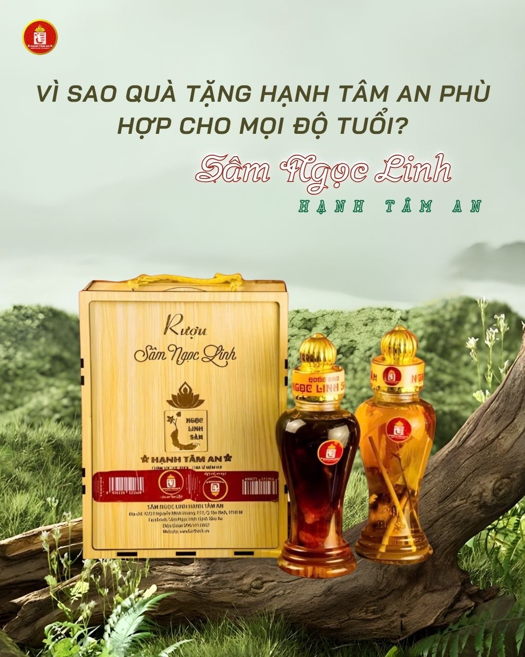 Vì Sao Quà Tặng Hạnh Tâm An Phù Hợp Cho Mọi Độ Tuổi?