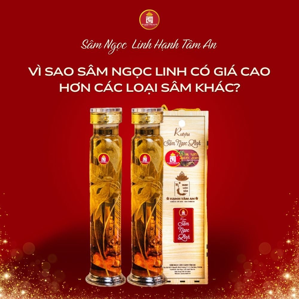 Vì sao Sâm Ngọc Linh có giá cao hơn các loại sâm khác?