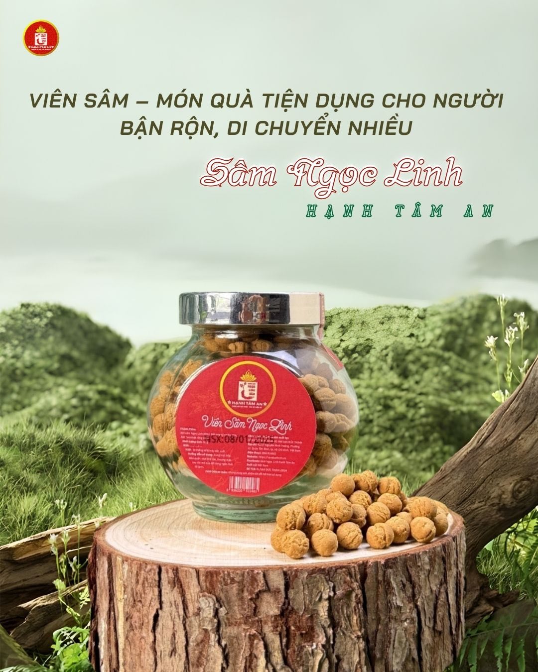 Viên Sâm – Món Quà Tiện Dụng Cho Người Bận Rộn, Di Chuyển Nhiều