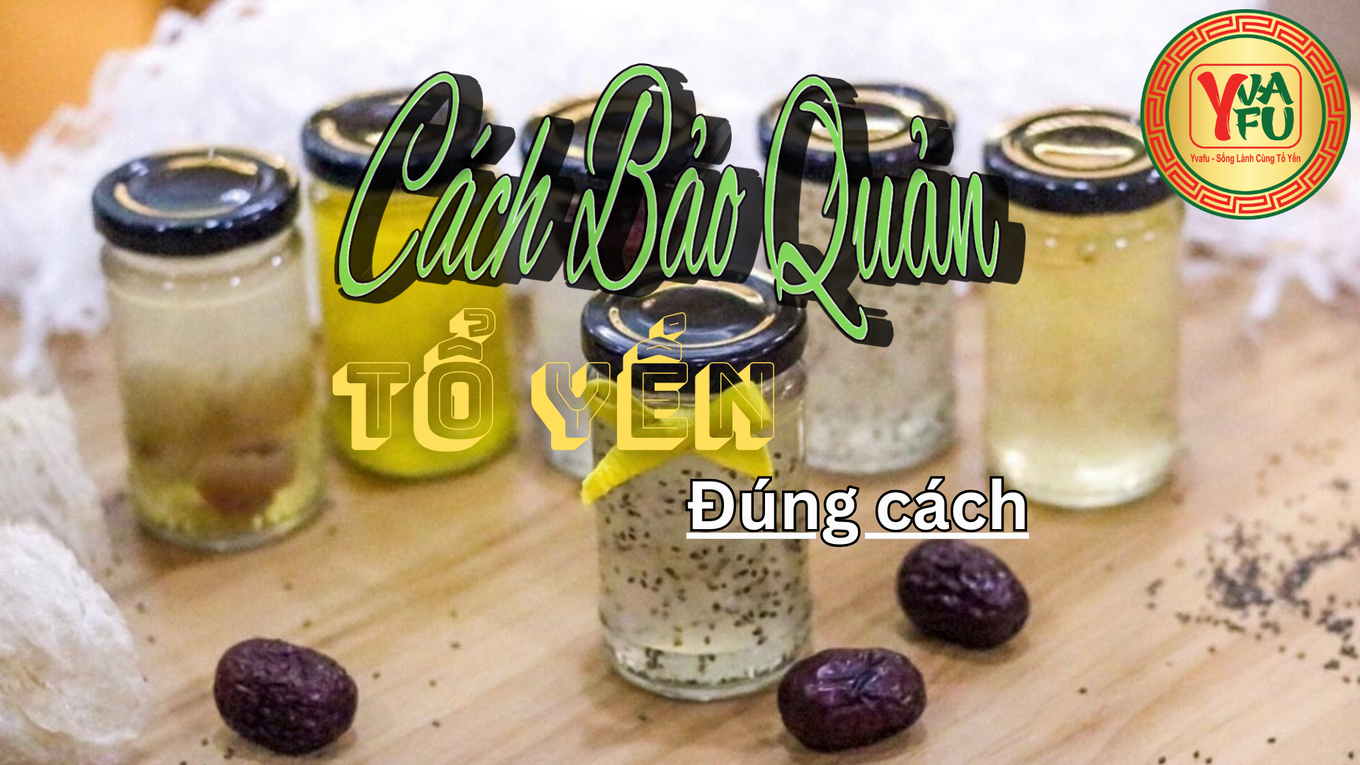 Cách bảo quản tổ yến đúng: yến thô, yến tinh chế và yến chưng sẵn (tránh mốc, tránh hôi)