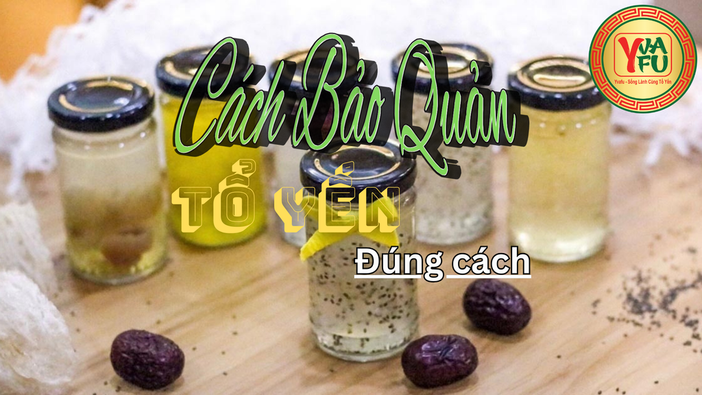 Cách bảo quản tổ yến đúng: yến thô, yến tinh chế và yến chưng sẵn (tránh mốc, tránh hôi)