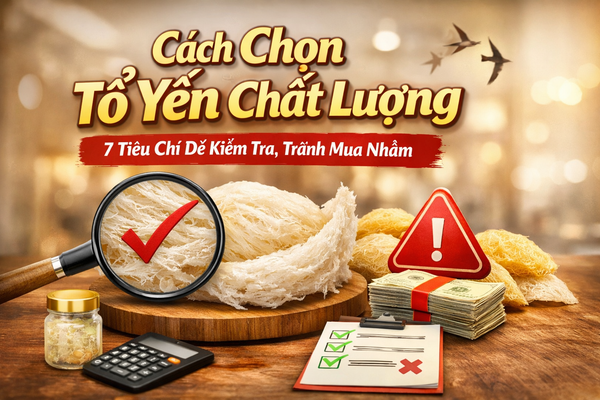 Cách chọn tổ yến chất lượng: 7 tiêu chí dễ kiểm tra, tránh mua nhầm