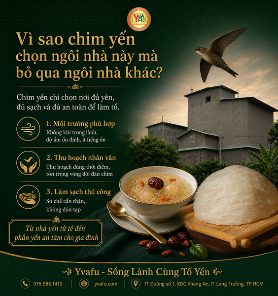 Nhà yến và câu chuyện 