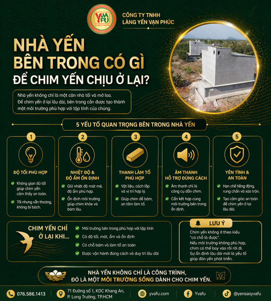 Nhà yến không chỉ là một căn nhà tối: bên trong có gì để chim yến chịu ở lại?