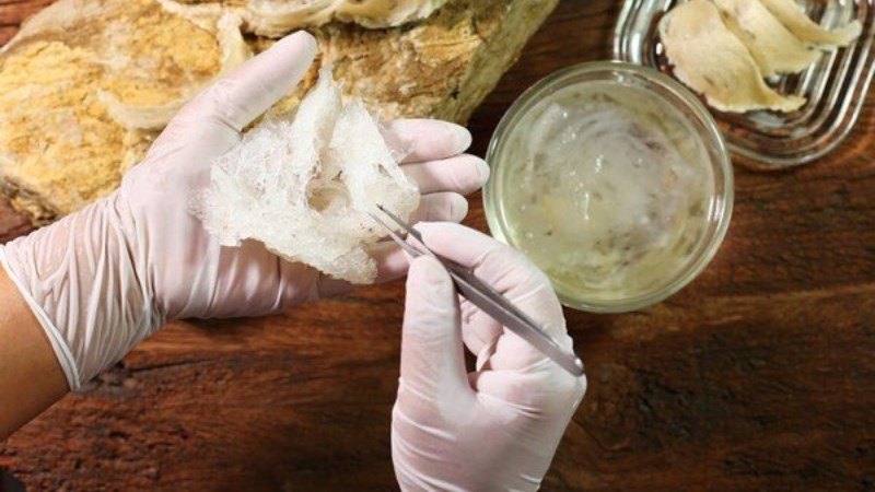 Cách nhận biết yến sào nguyên chất 100% chuẩn, đúng giá trị