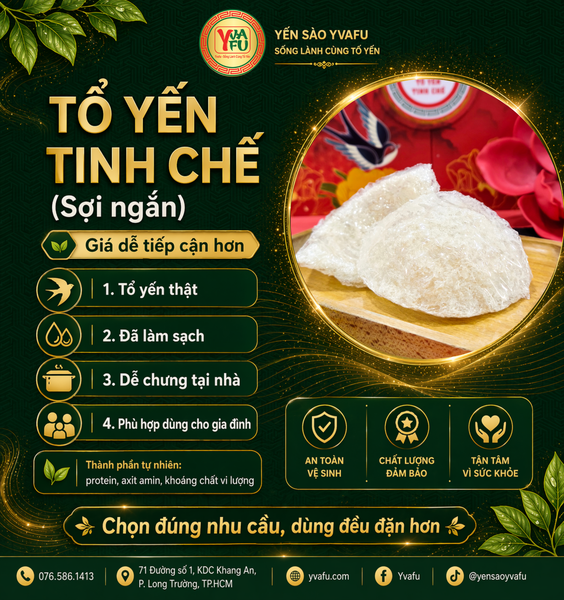Tổ yến tinh chế: lựa chọn vừa túi tiền, dễ dùng mỗi ngày