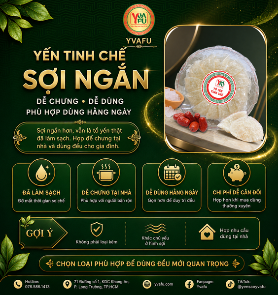 Yến tinh chế sợi ngắn có tốt không? Vì sao nhiều gia đình vẫn chọn dùng hằng ngày