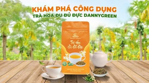 Khám phá công dụng của Trà Hoa Đu Đủ Đực DannyGreen