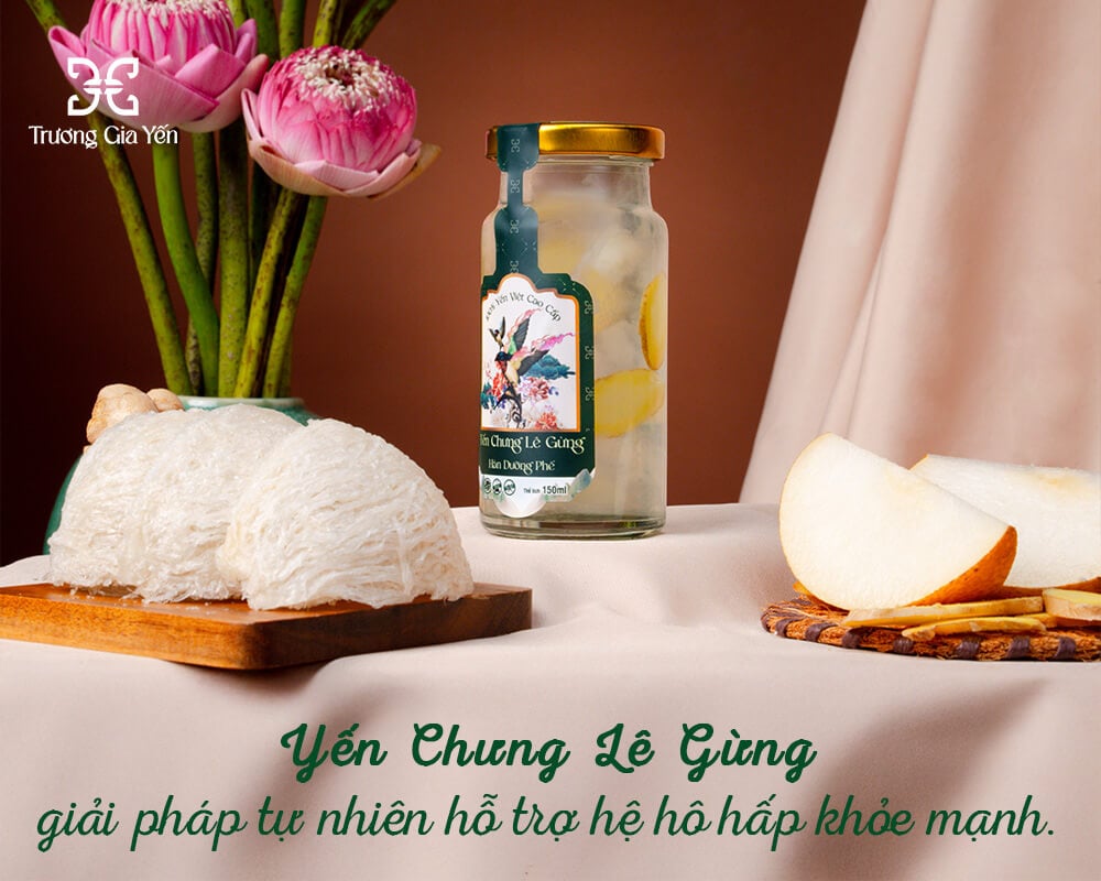 TỔ YẾN GIÁ BAO NHIÊU 1 LẠNG TÙY LOẠI THÔ SƠ CHẾ HAY TINH CHẾ