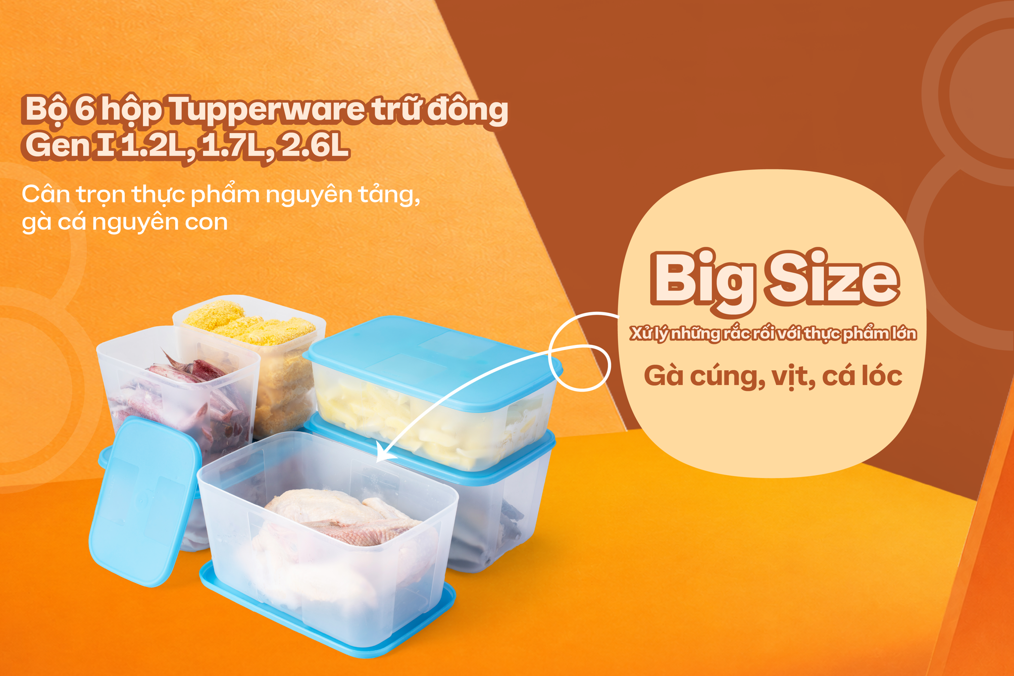 bo-6-hop-tupperware-tru-dong-gen-I