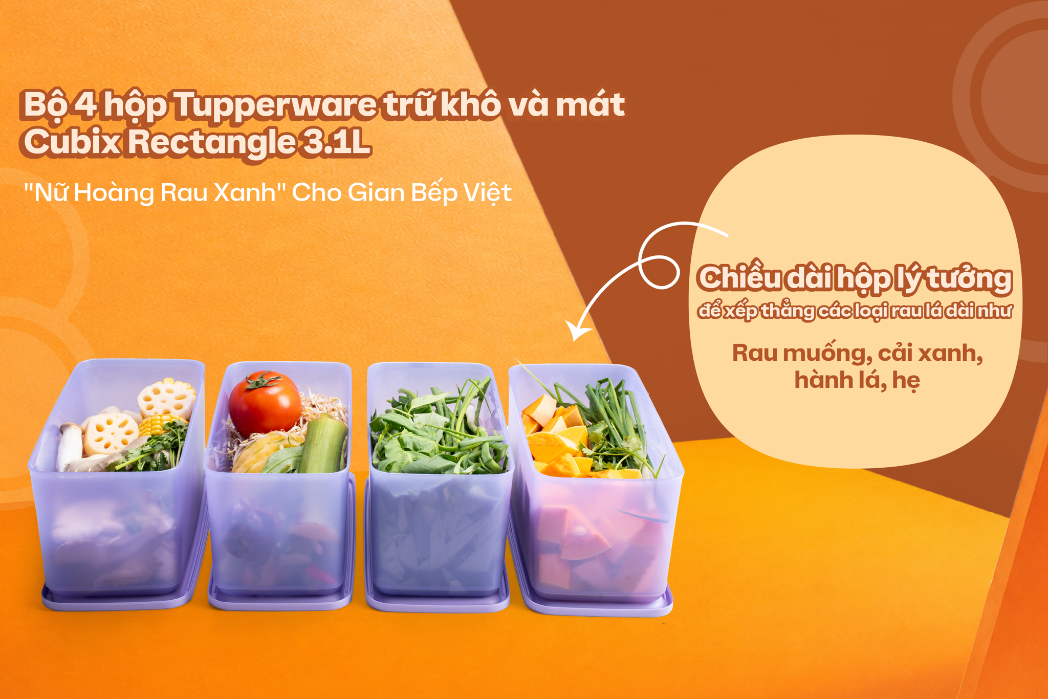 bo-4-hop-tupperware-cubix-rectangle-tru-kho-va-mat