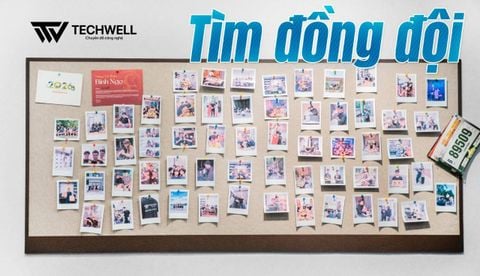 TECHWELL CẦN CÁC BẠN
