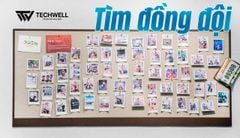 TECHWELL CẦN CÁC BẠN