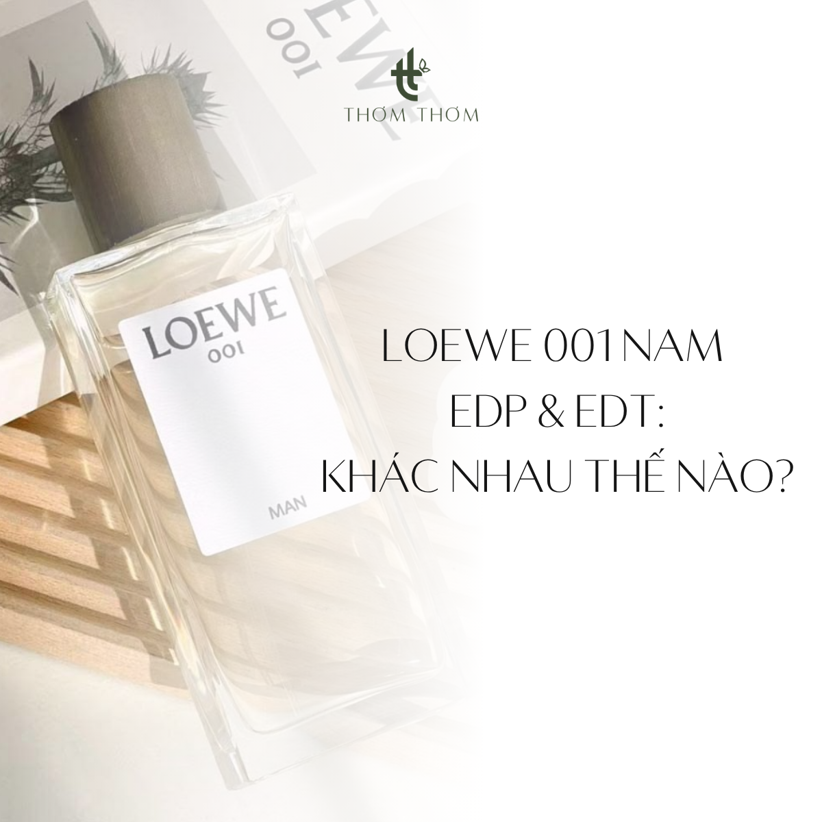 LOEWE 001 Nam EDP & EDT: Khác Nhau Thế Nào?