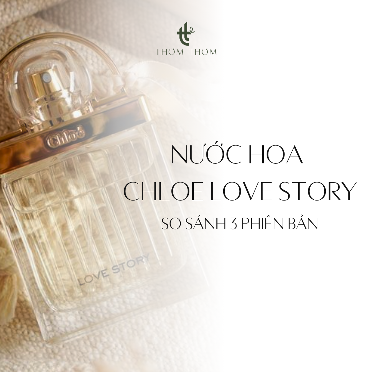 Nước Hoa Chloe Love Story: So Sánh 3 Phiên Bản & Mùi Nào Đáng Mua?