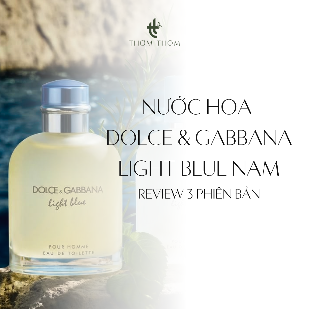 Nước Hoa Dolce & Gabbana Light Blue Nam: Bản Nào Đáng Mua?