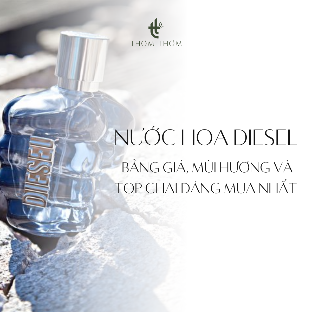 Nước hoa Diesel: Bảng giá, mùi hương và top chai đáng mua nhất