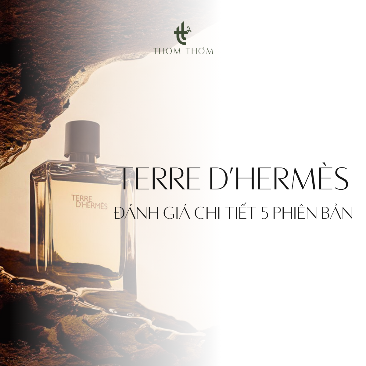 Đánh giá chi tiết 5 phiên bản của dòng nước hoa Terre d’Hermès
