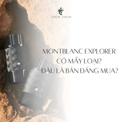 Montblanc Explorer Có Mấy Loại? Đâu Là Bản Đáng Mua?