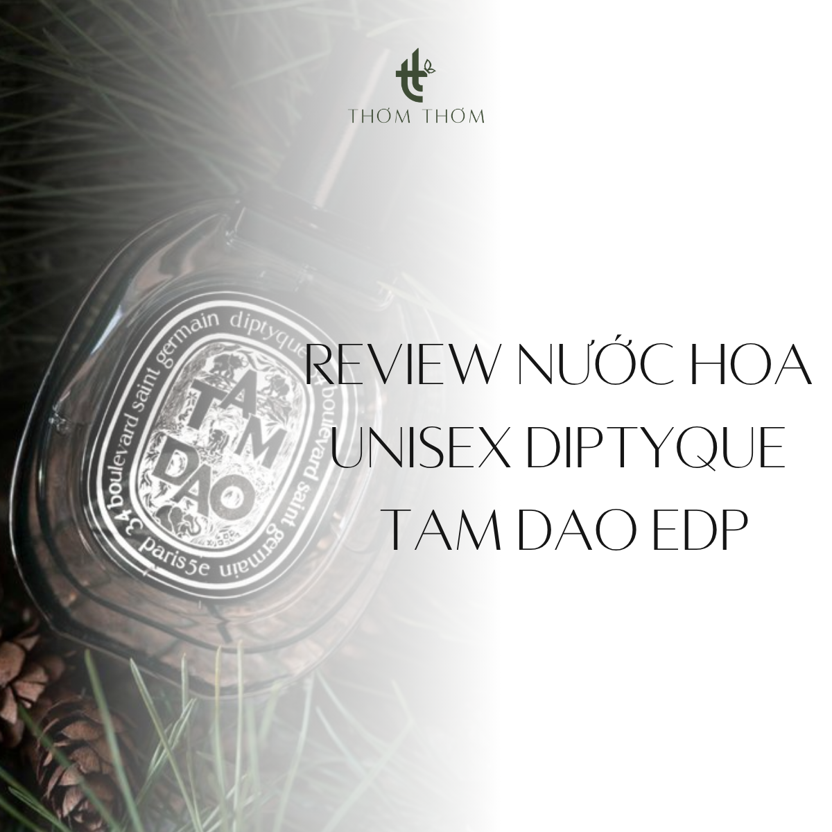 Review Nước Hoa Unisex Diptyque Tam Dao EDP: Có xứng đáng?