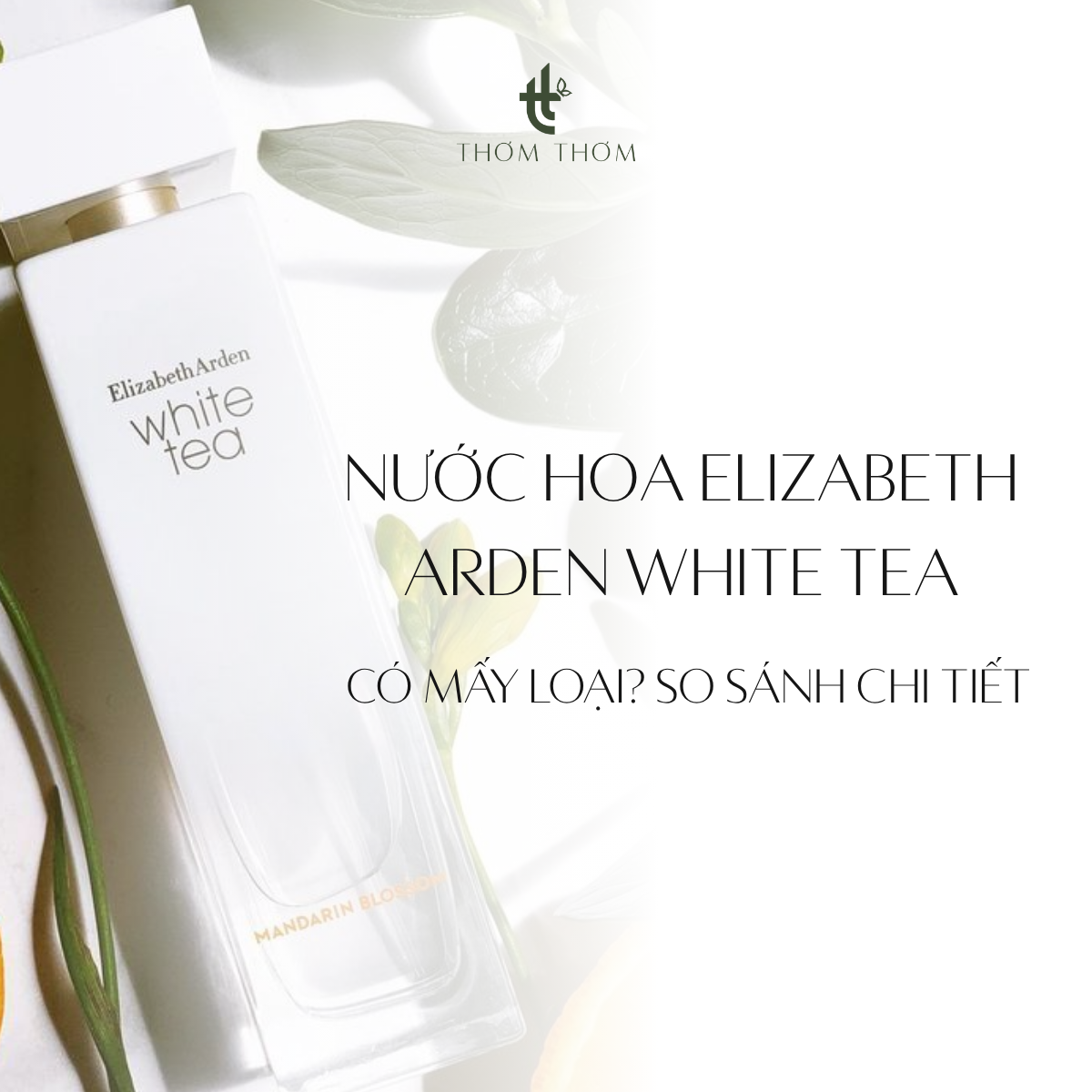 Nước hoa Elizabeth Arden White Tea có mấy loại? So sánh chi tiết