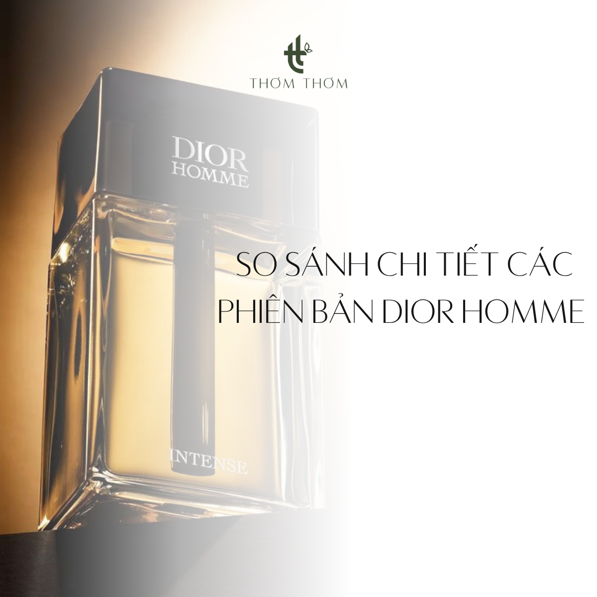 Dior Homme Có Mấy Loại? So Sánh Chi Tiết Các Phiên Bản