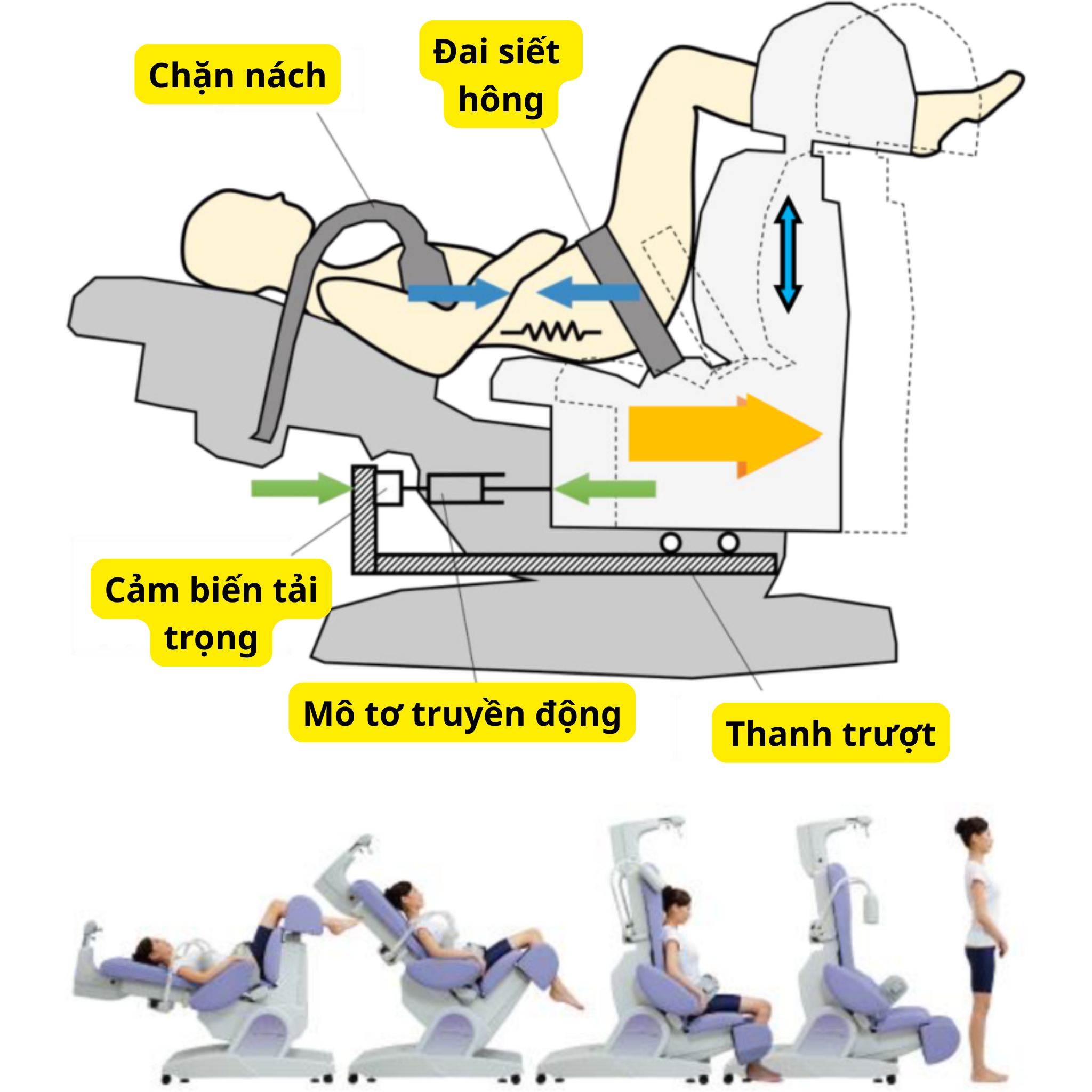 Nghiên cứu về lực kéo giãn cột sống - Góc nhìn khoa học dễ hiểu