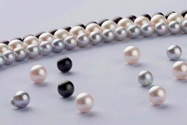 Ngọc trai nước ngọt và ngọc trai biển: Nên chọn loại nào?