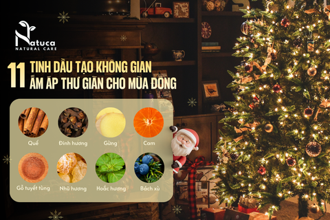 11 TINH DẦU THIÊN NHIÊN CHO NGÔI NHÀ ẤM CÚNG MÙA LỄ HỘI