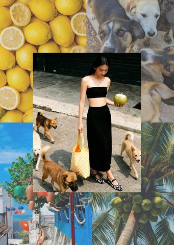 OUTFIT COCONUT GIRL VÀ CHIẾC TÚI MANG CẢM HỨNG MÙA HÈ