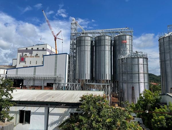 Lắp đặt Silo thép 500 Tons – Công Ty TNHH Cà Phê Ngon​