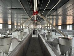 Công ty cung cấp thiết bị chăn nuôi heo hiện đại số 1 Việt Nam