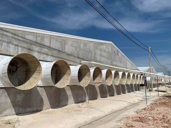 Top 5 hệ thống chăn nuôi thông minh, tiết kiệm, x3 lợi nhuận