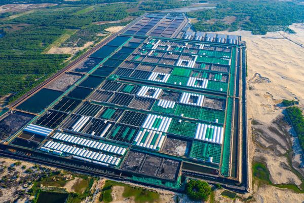 TRIỄN LÃM IDLEX 2022