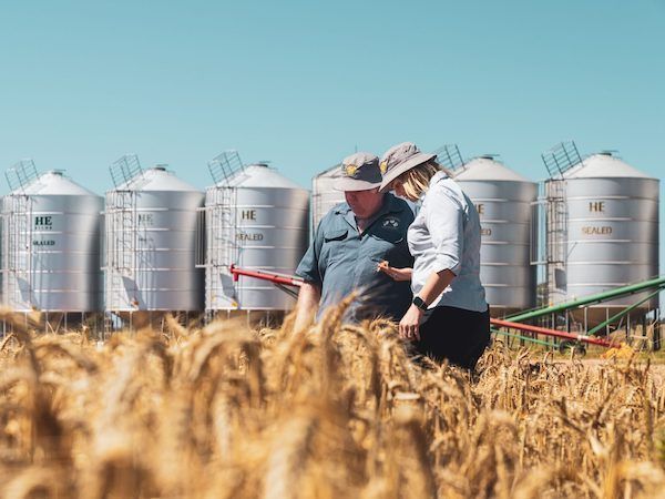 Các ưu điểm nổi bật và ứng dụng của silo chứa lúa gạo