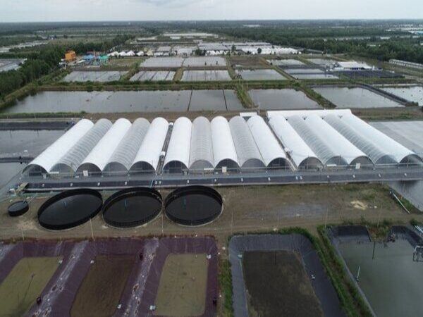 Hệ thống lọc nước nuôi tôm công nghiệp x3 năng suất, chất lượng