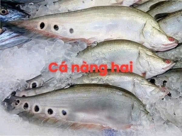 Chả cá thát lát nạo nguyên chất