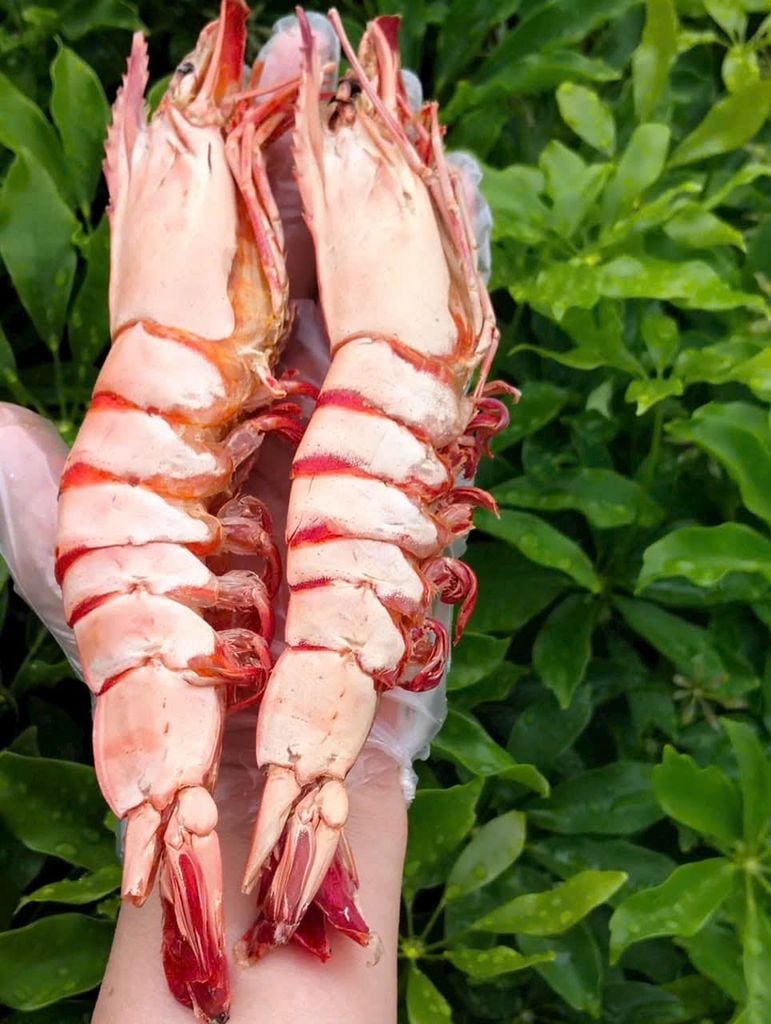 Tôm Sú Khô Nguyên Vỏ