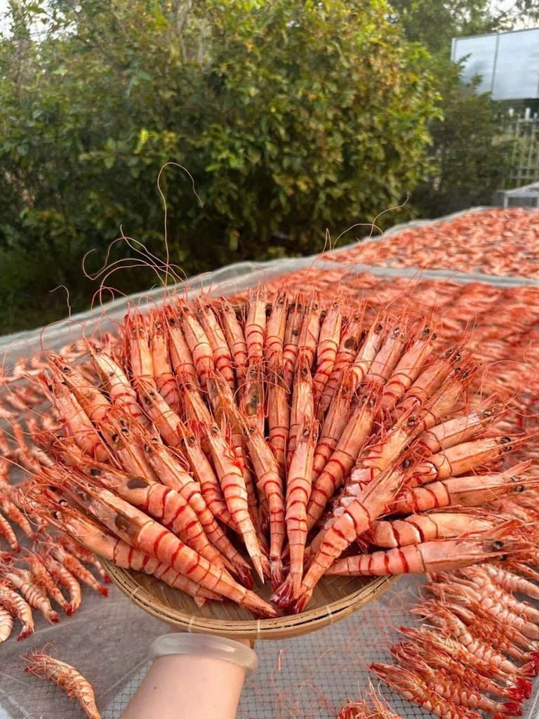 Tôm Sú Khô Nguyên Vỏ Size Đại