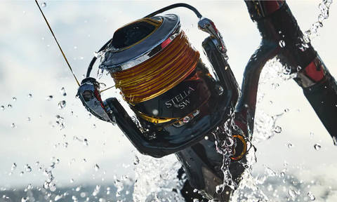 Shimano Stella SW 2025 vs Stella SW 2019: Có gì mới và có đáng nâng cấp?