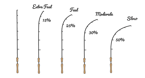 🎣 Hướng Dẫn Đọc Thông Số Cần Câu Shimano Dành Cho Người Mới