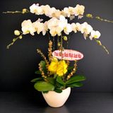 30+ Mẫu Hoa Sinh Nhật Cho Nam Đẹp Và Ý Nghĩa