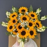 99+ Mẫu Hoa Hướng Dương Đẹp 2026 Được Yêu Thích Nhất