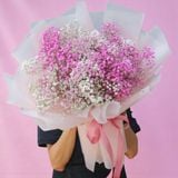 Hoa Sinh Nhật Tháng 1 Đẹp Và Mang Nhiều Ý Nghĩa Cho Khởi Đầu Mới