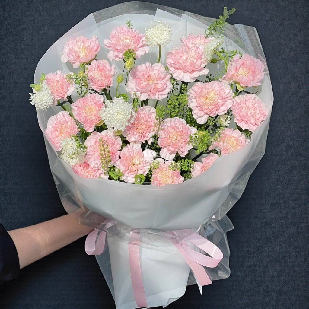 Hoa Cẩm Chướng Và Ý Nghĩa Từng Màu Hoa Bạn Nên Biết