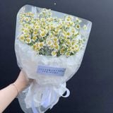 Hoa Sinh Nhật Tháng 4 Đẹp Và Ý Nghĩa