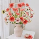 Khám Phá Ý Nghĩa Hoa Đồng Tiền Biểu Tượng May Mắn Và Hạnh Phúc