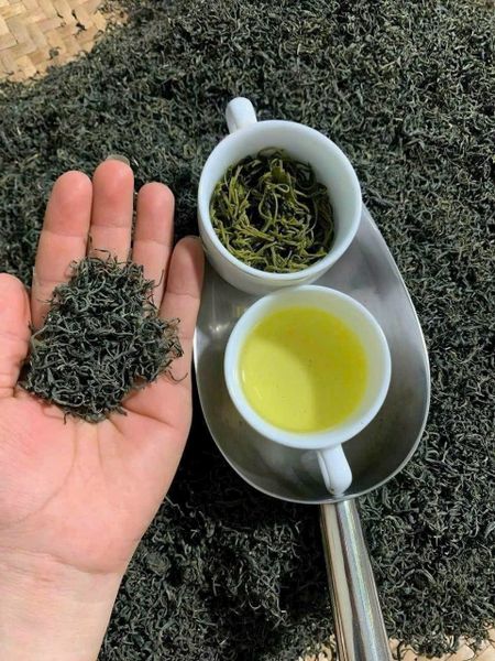 Hình ảnh bài viết