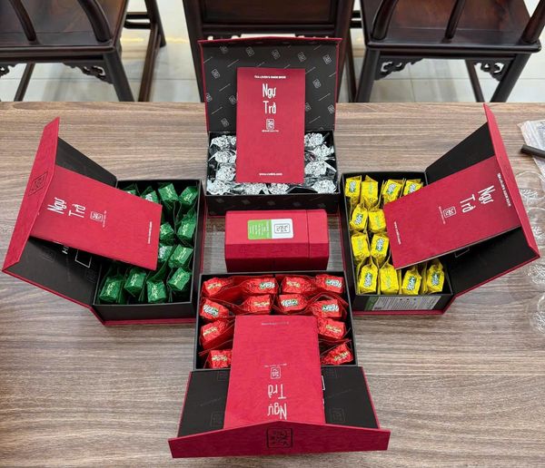 Hình ảnh bài viết